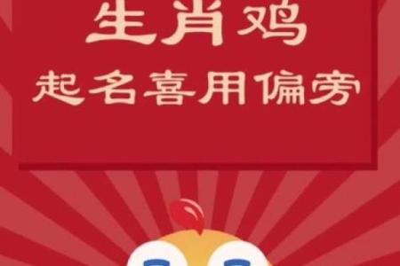 6月份出生的属鸡男孩怎么起名姓名