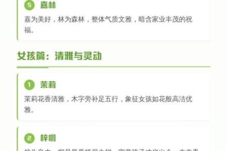 什么字适合给晚上11点出生的属鼠男孩起名姓名