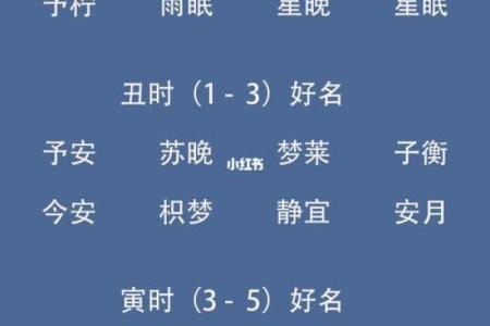 2019年5月5号子时出生的男孩要怎么起名字姓名