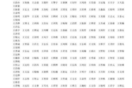 王姓男孩名字大全-王姓男孩起名字大全-王姓名字大全姓名