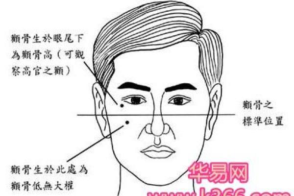 姓东郭的名人-姓名学-华易算命网姓名