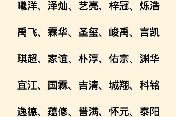 2019年5月25号子时出生的男孩要怎么起名字姓名