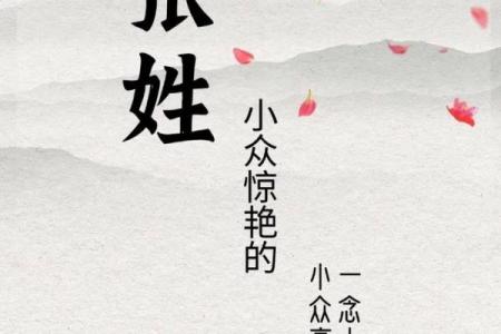 张姓女孩名字大全-张姓女孩起名字大全-张姓名字大全姓名