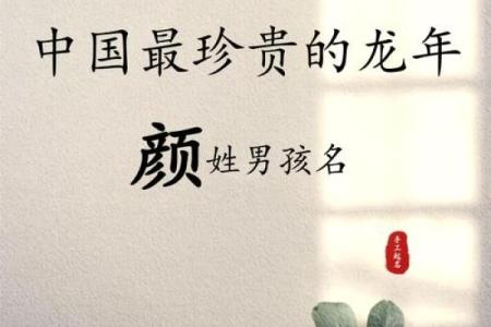 颜姓女孩名字大全-颜姓女孩起名字大全-颜姓名字大全姓名