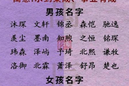 2019年6月8号卯时出生的男孩应该起什么样的名字姓名