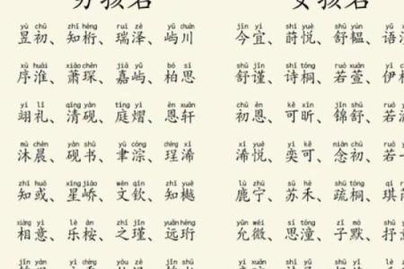 2019年5月26号子时出生的男孩应该起什么样的名字姓名