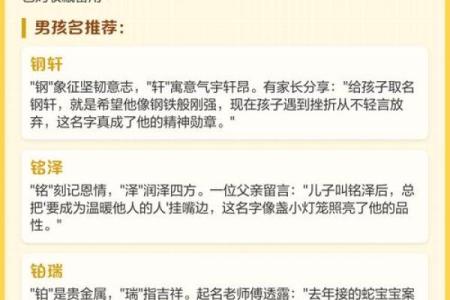 在线取名字大全-取名大全-宝宝取名软件-姓名学-姓名分析姓名