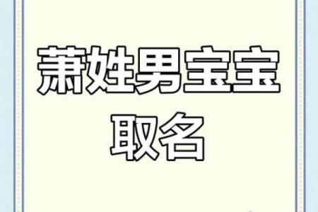 萧姓女孩名字大全-萧姓女孩起名字大全-萧姓名字大全姓名