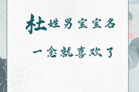2019年6月6号丑时出生的男孩如何起名姓名