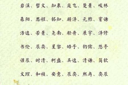 2019年6月10号卯时出生的男孩起名时要注意什么姓名