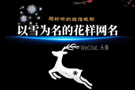 2019年大雪节气出生带雪字取名女孩名字，关于雪的唯美名字姓名