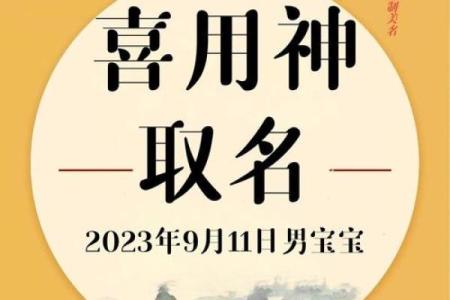 2019年4月28号卯时出生的男孩应该起什么样的名字姓名