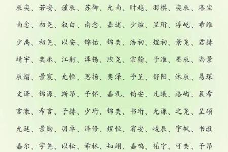 2019年6月28号丑时出生的男孩应该起什么样的名字姓名