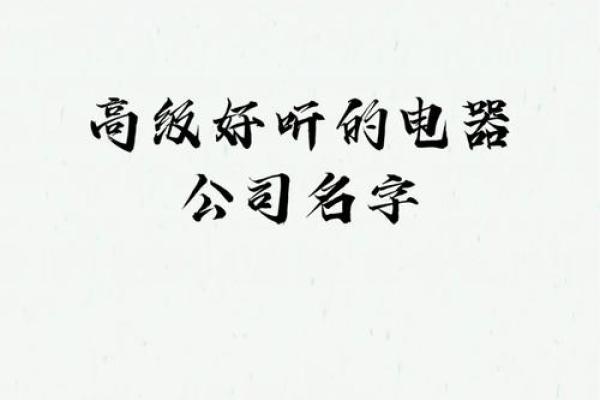 电器公司名字大全-名字大全姓名