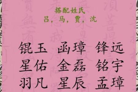 2019年6月14号丑时出生的男孩要怎么起名字姓名