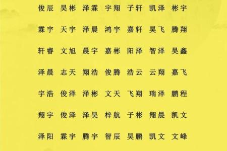 2019年4月29号卯时出生的男孩如何起名姓名