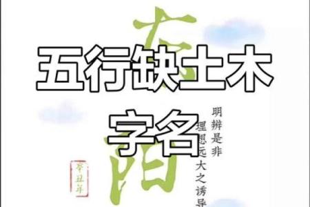 五行缺木的男孩取什么名字最好？五行缺木是什么意思？-华易网姓名