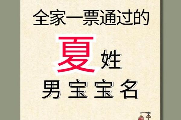 夏姓女孩名字大全-夏姓女孩起名字大全-夏姓名字大全姓名