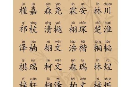2019年4月24号卯时出生的男孩如何起名姓名