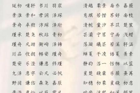 2019年3月23号巳时出生的男孩如何起名姓名
