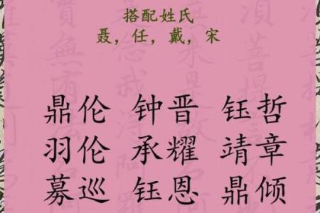 2019年3月26号酉时出生的男孩要怎么起名字姓名