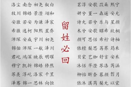 2019年4月22号寅时出生的男孩起名方法姓名