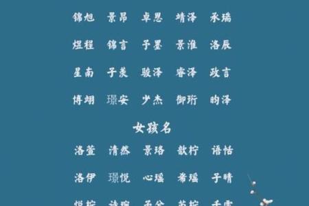 下午出生属兔的男孩应该怎么样取名字呢？姓名
