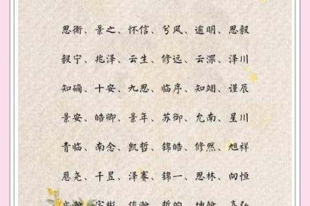 2019年3月30号丑时出生的男孩如何起名姓名