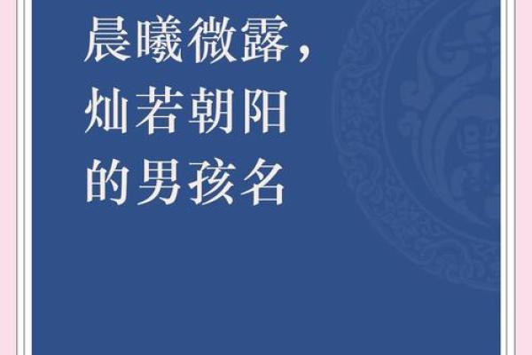 2019年4月27号寅时出生的男孩起名方法姓名