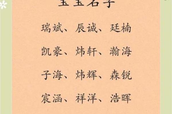 2019年6月26号子时出生的男孩要怎么起名字姓名