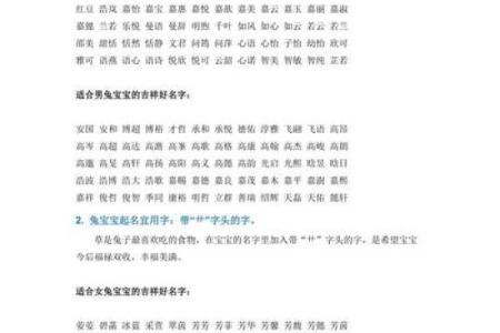 如何给属兔子时出生的男孩取名字姓名
