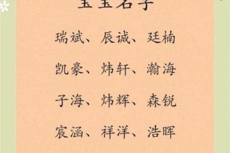 2019年6月26号子时出生的男孩要怎么起名字姓名