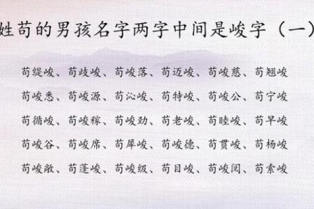 中午12点出生的属鸡男孩如何起名合适姓名