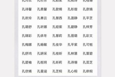 孔姓男孩名字大全-孔姓男孩起名字大全-孔姓名字大全姓名