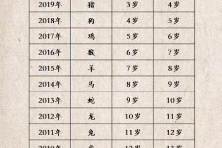 属猪午时出生的男孩起什么名，用什么字？姓名