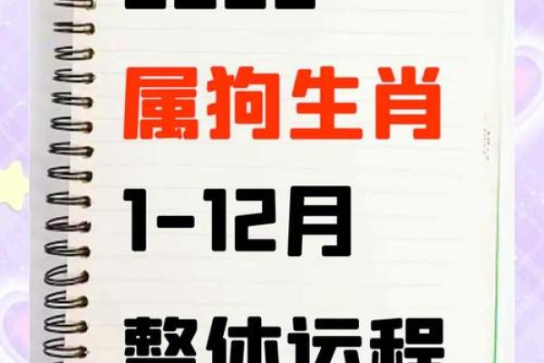 上午10点出生的属狗男孩如何取名，宜用什么字姓名