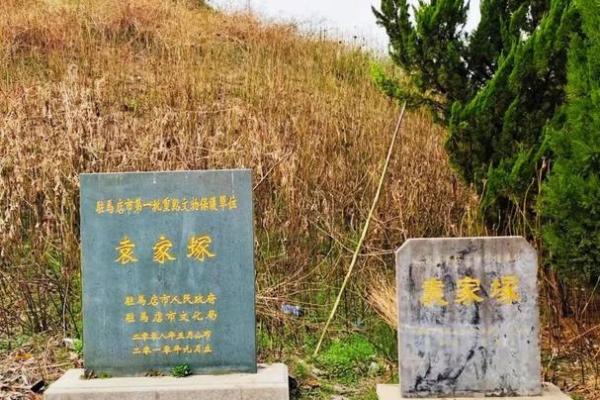 袁氏的郡望堂号和各支始祖-姓名学-华易网姓名
