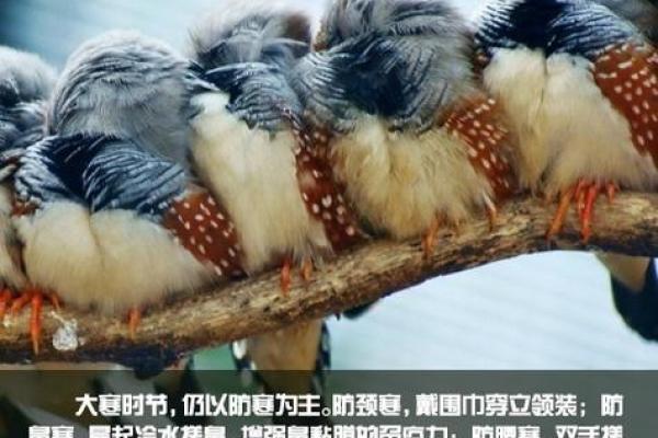 2018大寒出生的狗宝宝取什么名字最好？-华易网姓名