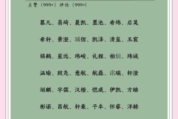 2021年农历六月二十三日出生男孩名字大气取名大全姓名