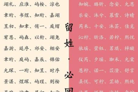 如何来替属猪未时出生的男孩如何起名姓名