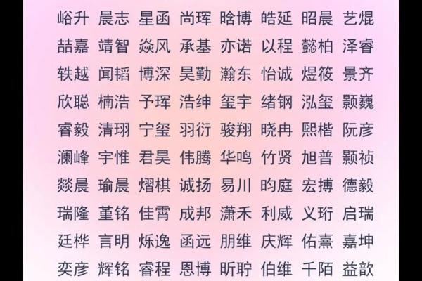 2019年6月15号子时出生的男孩要怎么起名字姓名