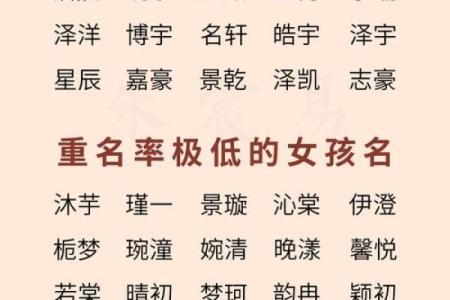 2019年6月25号子时出生的男孩起名方法姓名