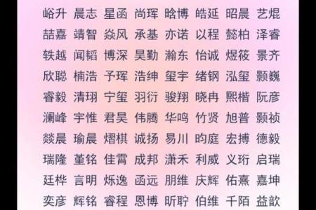 2019年6月15号子时出生的男孩要怎么起名字姓名