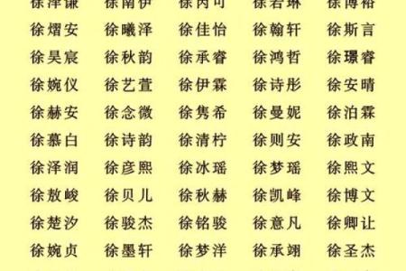 徐姓女孩名字大全-徐姓女孩起名字大全-徐姓名字大全姓名