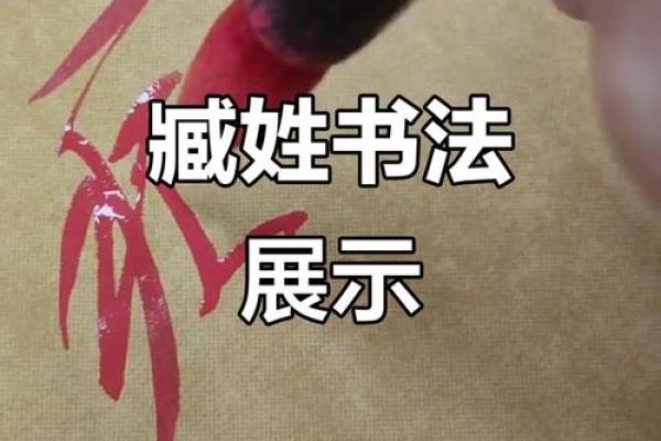 臧姓男孩名字大全-臧姓男孩起名字大全-臧姓名字大全姓名
