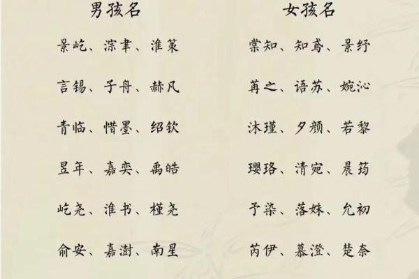 2019年3月17号亥时出生的男孩应该起什么样的名字姓名
