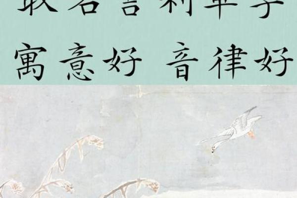 带土字旁的男孩名字-名字大全-姓名学-华易算命网姓名