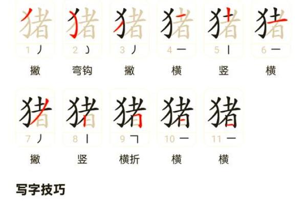 怎样来给属猪亥时出生的男孩起名姓名