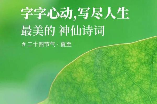 2021年夏至出生的五行属什么,夏至节气出生的宝宝名字精选姓名