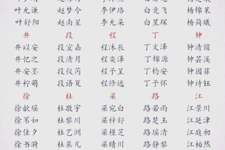 苗姓女孩名字大全-苗姓女孩起名字大全-苗姓名字大全姓名